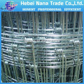 Hot dipped galvanized steel Farm filed fence hinge joint cattle fence